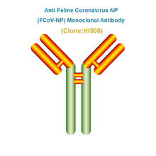 Load image into Gallery viewer, Anti Feline Coronavirus NP (FCoV-NP) Monoclonal Antibody