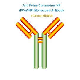 Anti Feline Coronavirus NP (FCoV-NP) Monoclonal Antibody
