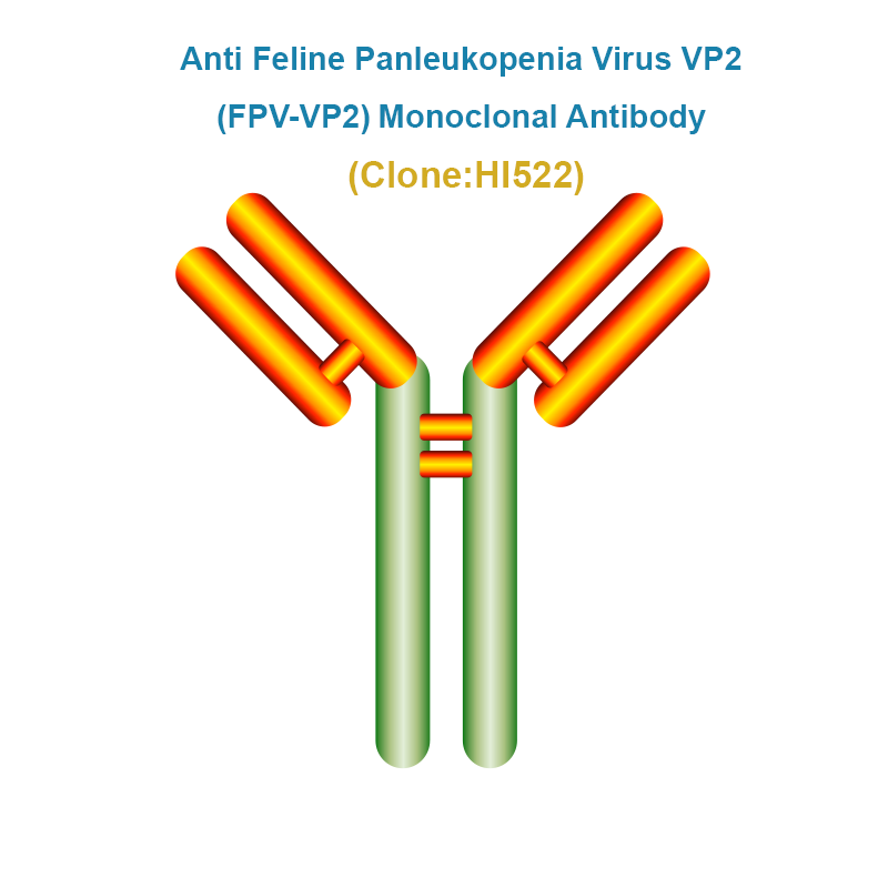 Anti Feline Panleukopenia Virus VP2 (FPV-VP2) Monoclonal Antibody