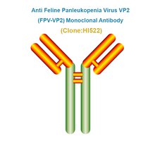 Load image into Gallery viewer, Anti Feline Panleukopenia Virus VP2 (FPV-VP2) Monoclonal Antibody