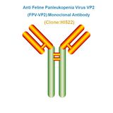 Anti Feline Panleukopenia Virus VP2 (FPV-VP2) Monoclonal Antibody