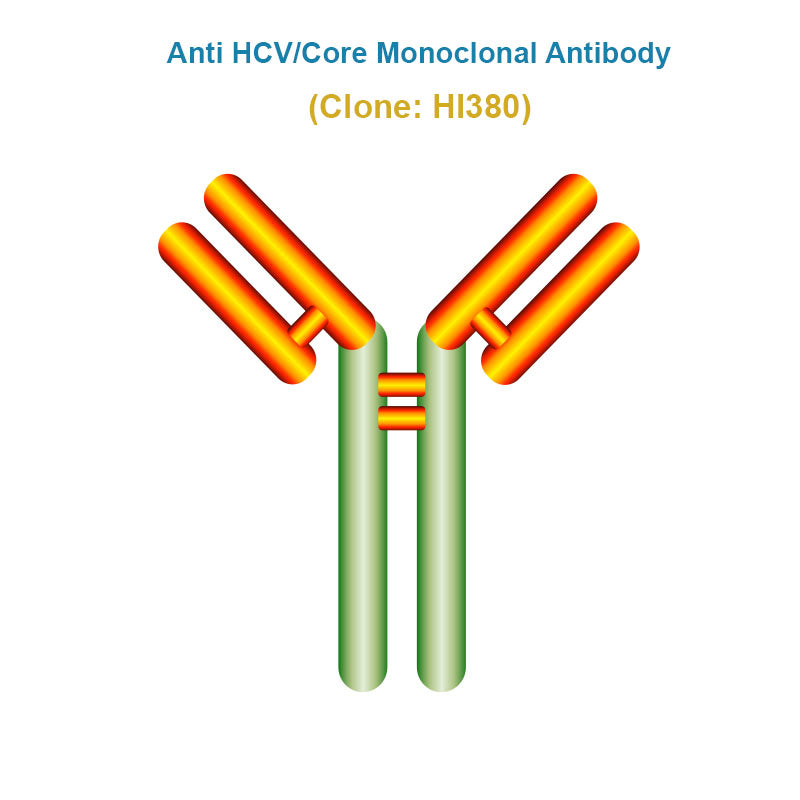 Anti Hepatitis C Virus ( HCV/Core) Monoclonal Antibody