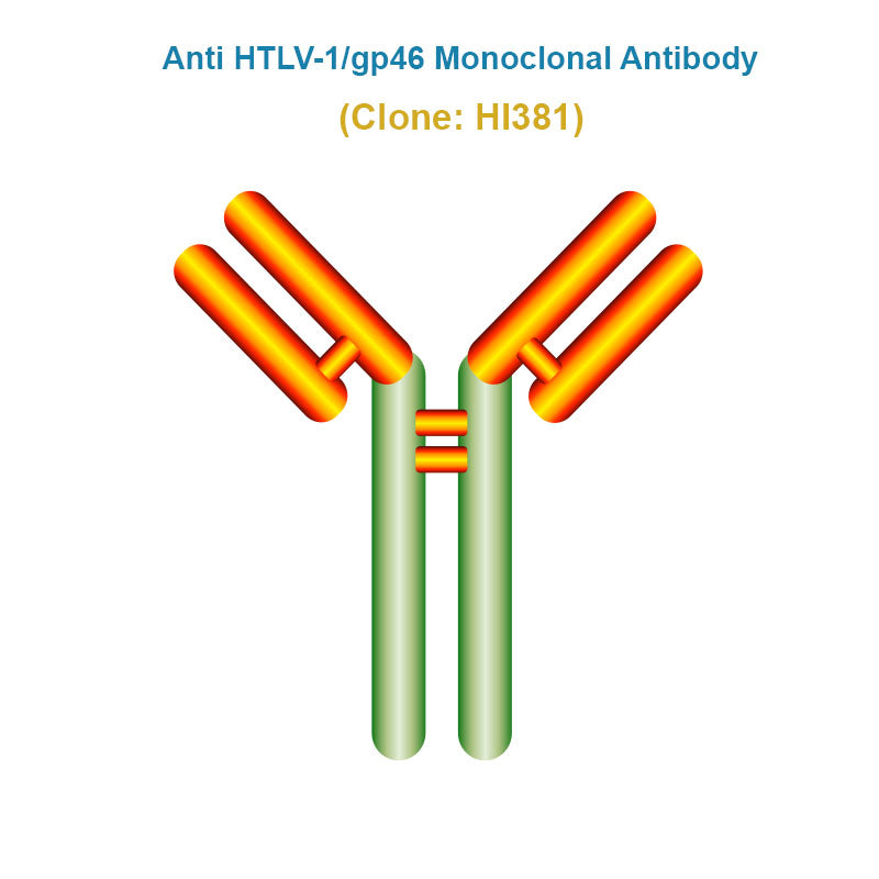 Anti Human T-lymphotropic Virus Type 1 (HTLV-1/gp46) Monoclonal Antibody