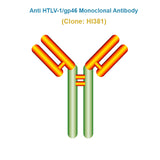 Anti Human T-lymphotropic Virus Type 1 (HTLV-1/gp46) Monoclonal Antibody