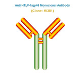 Anti Human T-lymphotropic Virus Type 1 (HTLV-1/gp46) Monoclonal Antibody