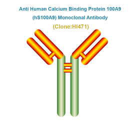Anti Human Calcium Binding Protein 100A9 (hS100A9) Monoclonal Antibody