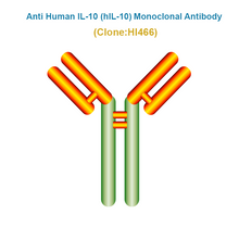 Load image into Gallery viewer, Anti Human IL-10 (hIL-10) Monoclonal Antibody