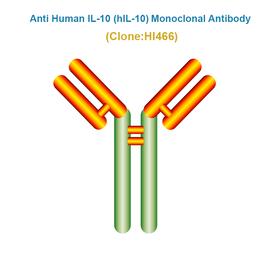 Anti Human IL-10 (hIL-10) Monoclonal Antibody