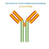 Anti Human IL-10 (hIL-10) Monoclonal Antibody