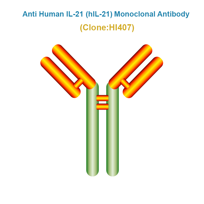 Anti Human IL-21 (hIL-21) Monoclonal Antibody