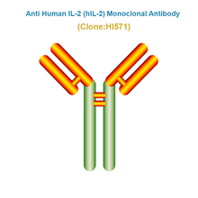 Load image into Gallery viewer, Anti Human IL-2 (hIL-2) Monoclonal Antibody, Clone HI571