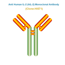 Anti Human IL-2 (hIL-2) Monoclonal Antibody, Clone HI571