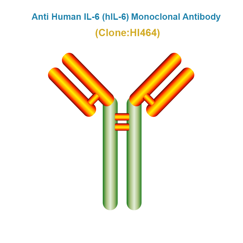 Anti Human IL-6 (hIL-6) Monoclonal Antibody