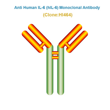 Load image into Gallery viewer, Anti Human IL-6 (hIL-6) Monoclonal Antibody