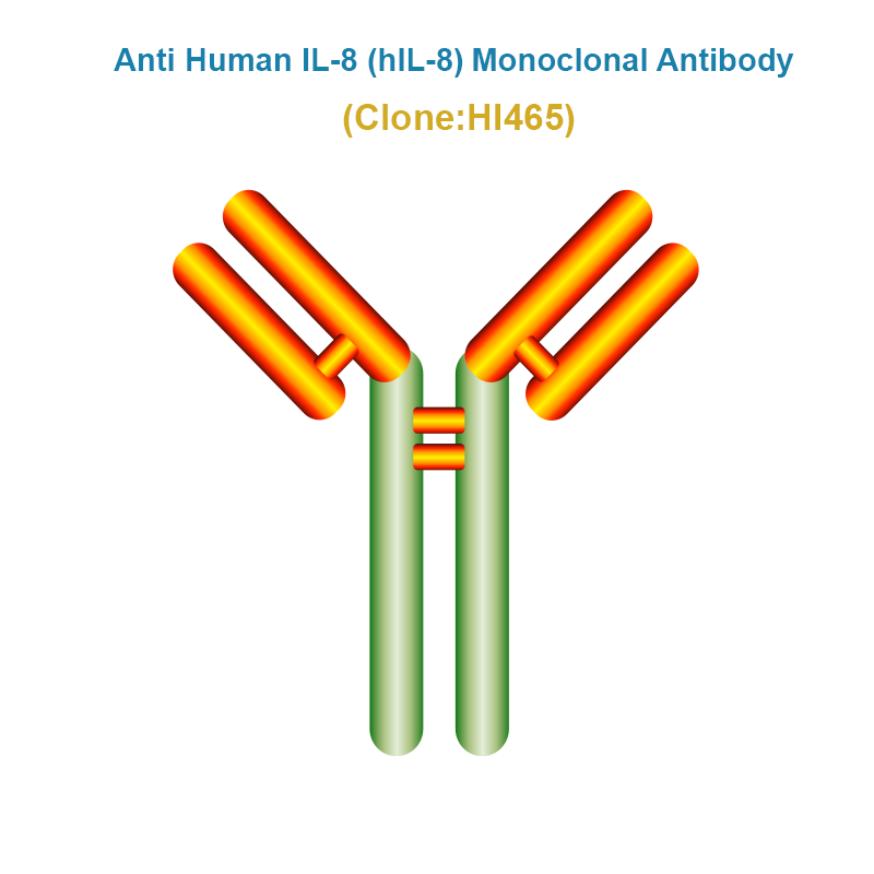 Anti Human IL-8 (hIL-8) Monoclonal Antibody