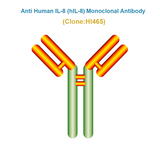 Anti Human IL-8 (hIL-8) Monoclonal Antibody