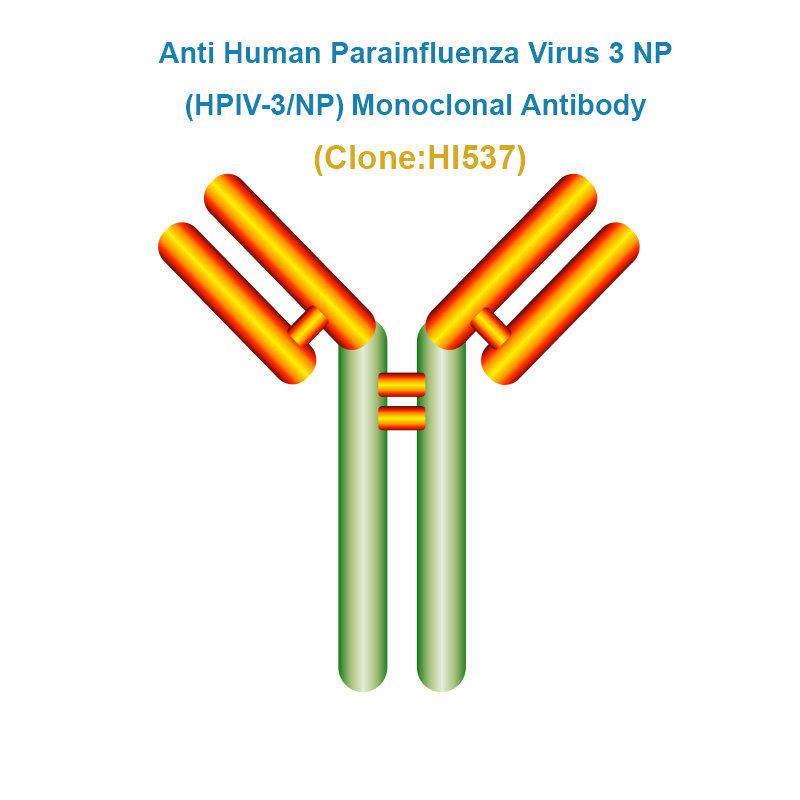 Hpiv3 Anti Human Parainfluenza Virus type 3 NP (HPIV3-NP) Monoclonal Antibod ...
