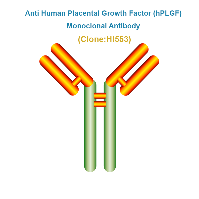 Anti Human Placental Growth Factor (hPLGF) Monoclonal Antibody