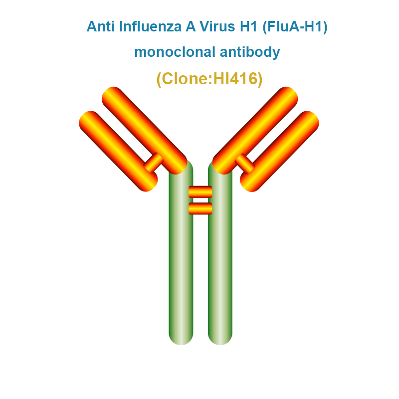 Anti Influenza A Virus H1 (FluA-H1) monoclonal antibody