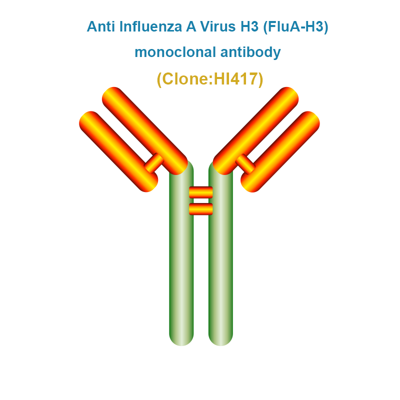 Anti Influenza A Virus H3 (FluA-H3) Monoclonal Antibody