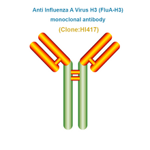 Load image into Gallery viewer, Anti Influenza A Virus H3 (FluA-H3) Monoclonal Antibody