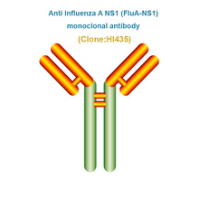Load image into Gallery viewer, Anti Influenza A Virus NS1 (FluA-NS1) Monoclonal Antibody