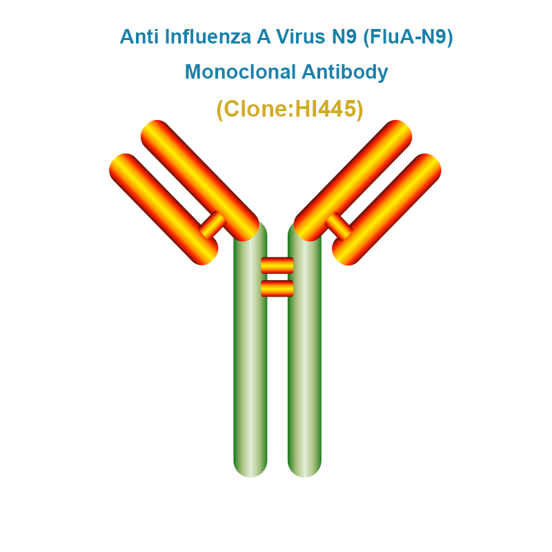 Anti Influenza A Virus N9 (FluA-N9) Monoclonal Antibody