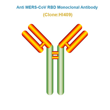 Load image into Gallery viewer, Anti MERS-CoV RBD Monoclonal Antibody