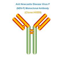 Load image into Gallery viewer, Anti Newcastle Disease Virus F (NDV-F) Monoclonal Antibody