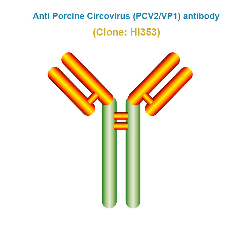 Anti Porcine Circovirus (PCV2/VP1) Monoclonal Antibody