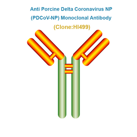 Anti Porcine Delta Coronavirus NP (PDCoV-NP) Monoclonal Antibody