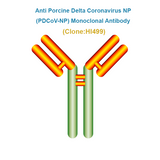 Anti Porcine Delta Coronavirus NP (PDCoV-NP) Monoclonal Antibody