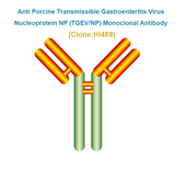 Anti Porcine Transmissible Gastroenteritis Virus Nucleoprotein NP (TGEV/NP) Monoclonal Antibody