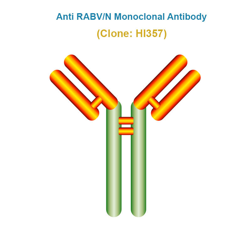 Anti Rabies Virus (RABV/N) Monoclonal Antibody