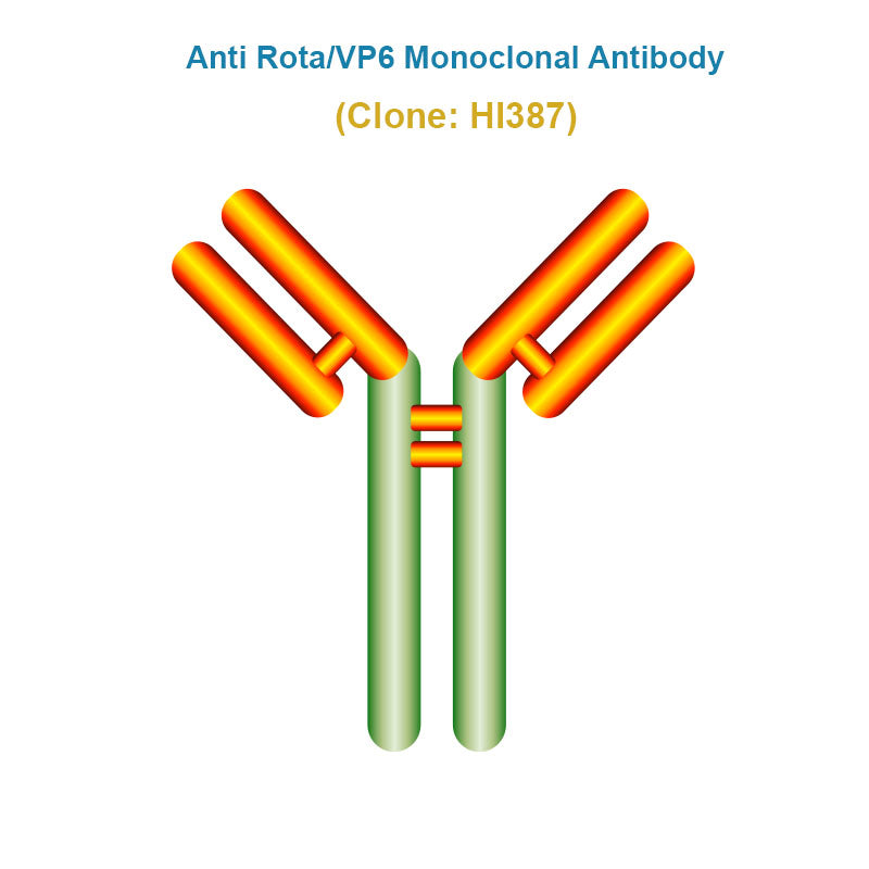 Anti Rotavirus (Rota/VP6) Monoclonal Antibody