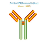 Anti Rotavirus (Rota/VP6) Monoclonal Antibody