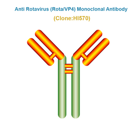 Anti Bovine Rotavirus (BRoV/VP4) Monoclonal Antibody, HI570