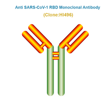 Load image into Gallery viewer, Anti SARS-CoV-1 RBD Monoclonal Antibody