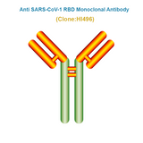 Anti SARS-CoV-1 RBD Monoclonal Antibody