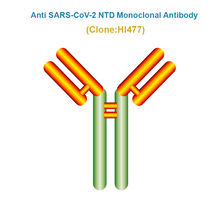 Load image into Gallery viewer, Anti SARS-CoV-2 NTD Monoclonal Antibody