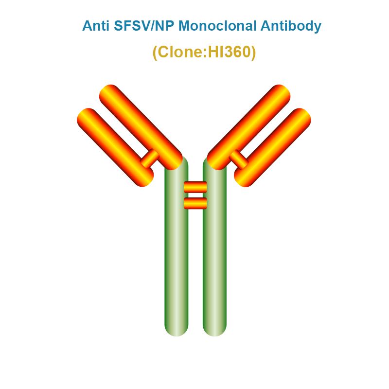 Anti Severe Fever with Thrombocytopenia Syndrome Virus (SFTSV/NP) Monoclonal Antibody