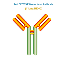 Load image into Gallery viewer, Anti Severe Fever with Thrombocytopenia Syndrome Virus (SFTSV/NP) Monoclonal Antibody