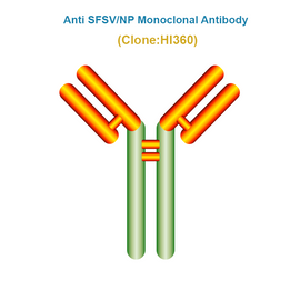Anti Severe Fever with Thrombocytopenia Syndrome Virus (SFTSV/NP) Monoclonal Antibody