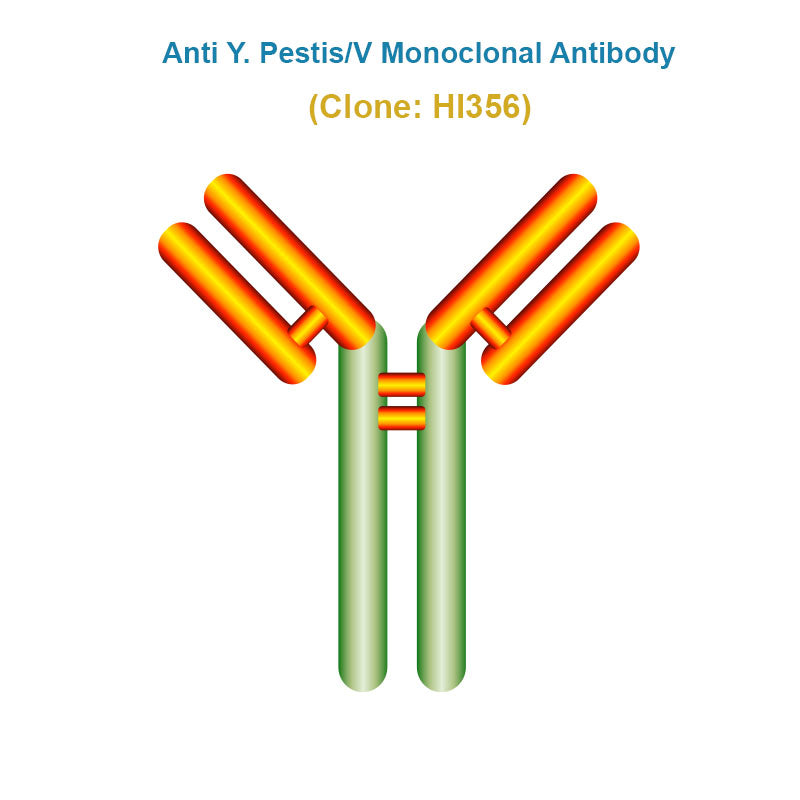 Anti-Yersinia pestis V antigen (Y. Pestis/V) Monoclonal Antibody
