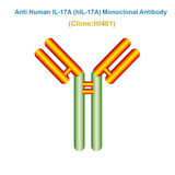 Anti Human IL-17A (hIL-17A) Monoclonal Antibody