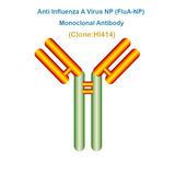 Anti Influenza A Virus NP (FluA-NP) Monoclonal Antibody