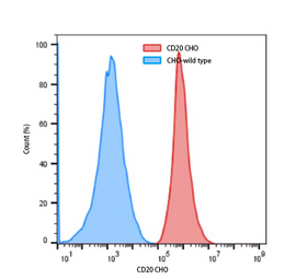 CHO-CD20 Cell Line