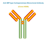 Anti IMP-type Carbapenemase (CRE/IMP) Monoclonal Antibody