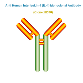 Anti Human Interleukin-4 (IL-4) Monoclonal Antibody