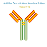Anti Feline Pancreatic Lipase (fPL) Monoclonal Antibody